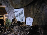 img0048.jpg