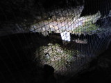 img0049.jpg