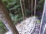 img0060.jpg