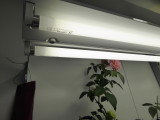 img0001.jpg