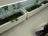img0003.jpg