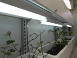 img0004.jpg