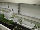 img0008.jpg