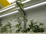 img0009.jpg