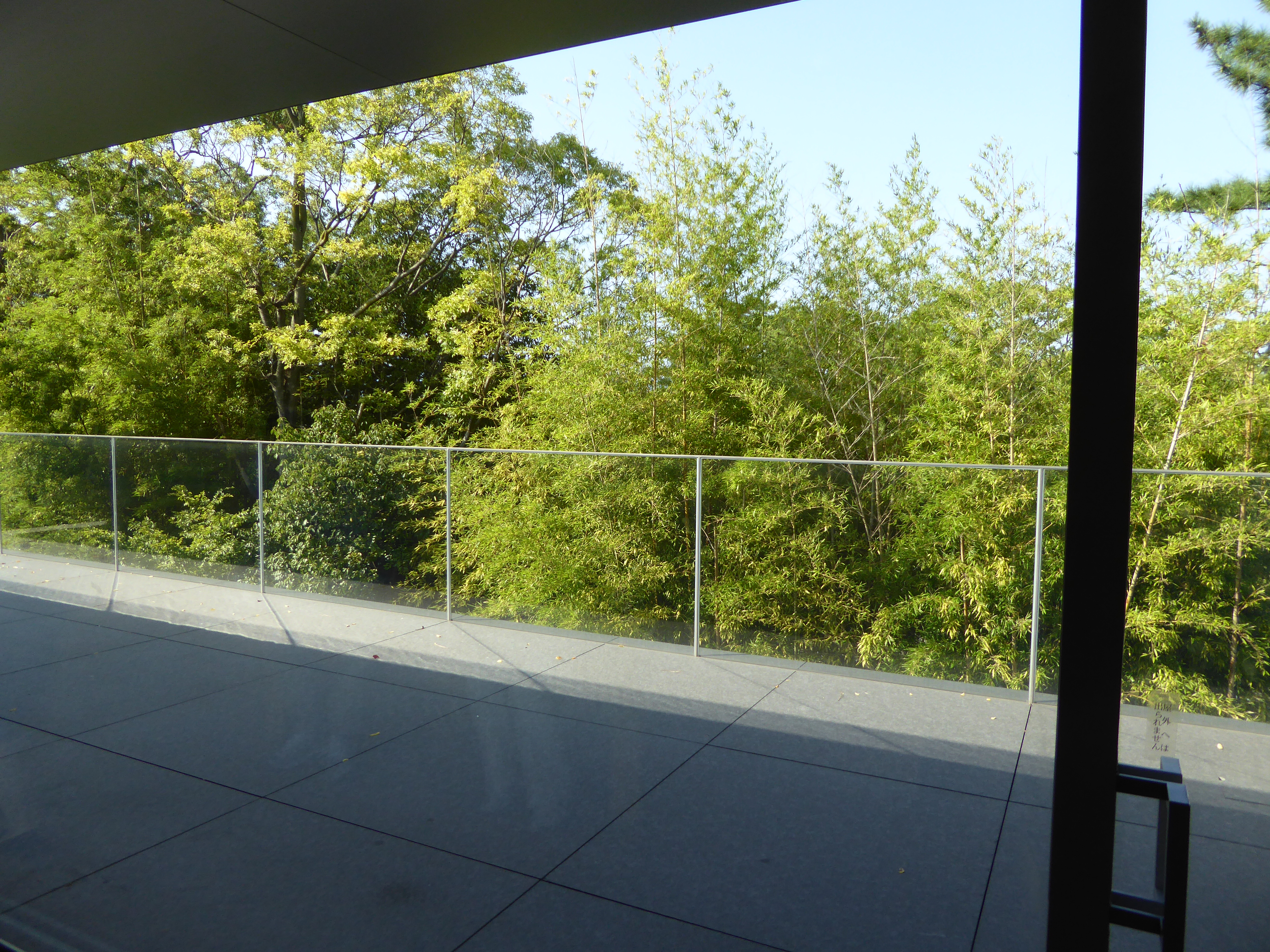 P1000705.JPG