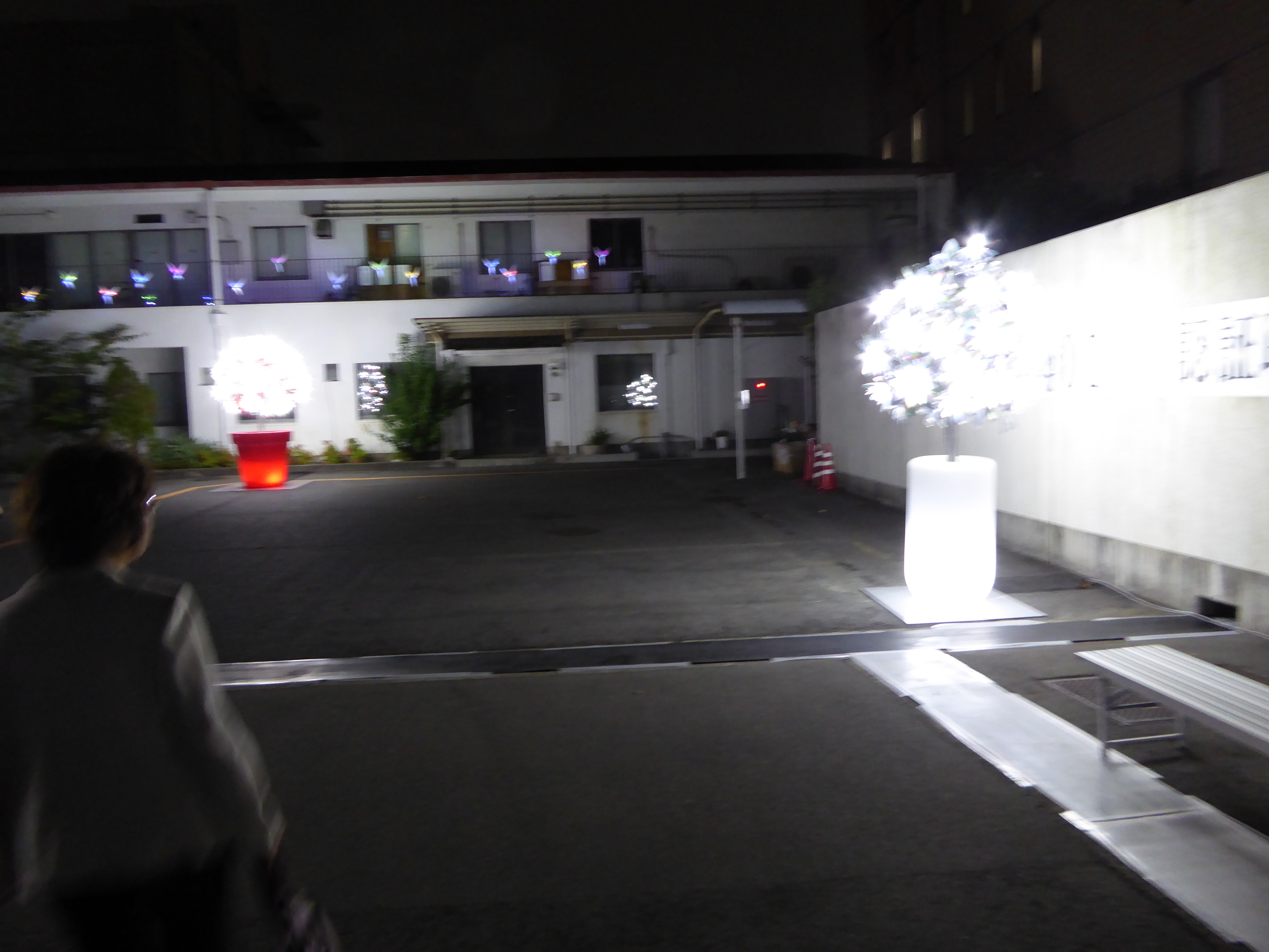 P1000718.JPG