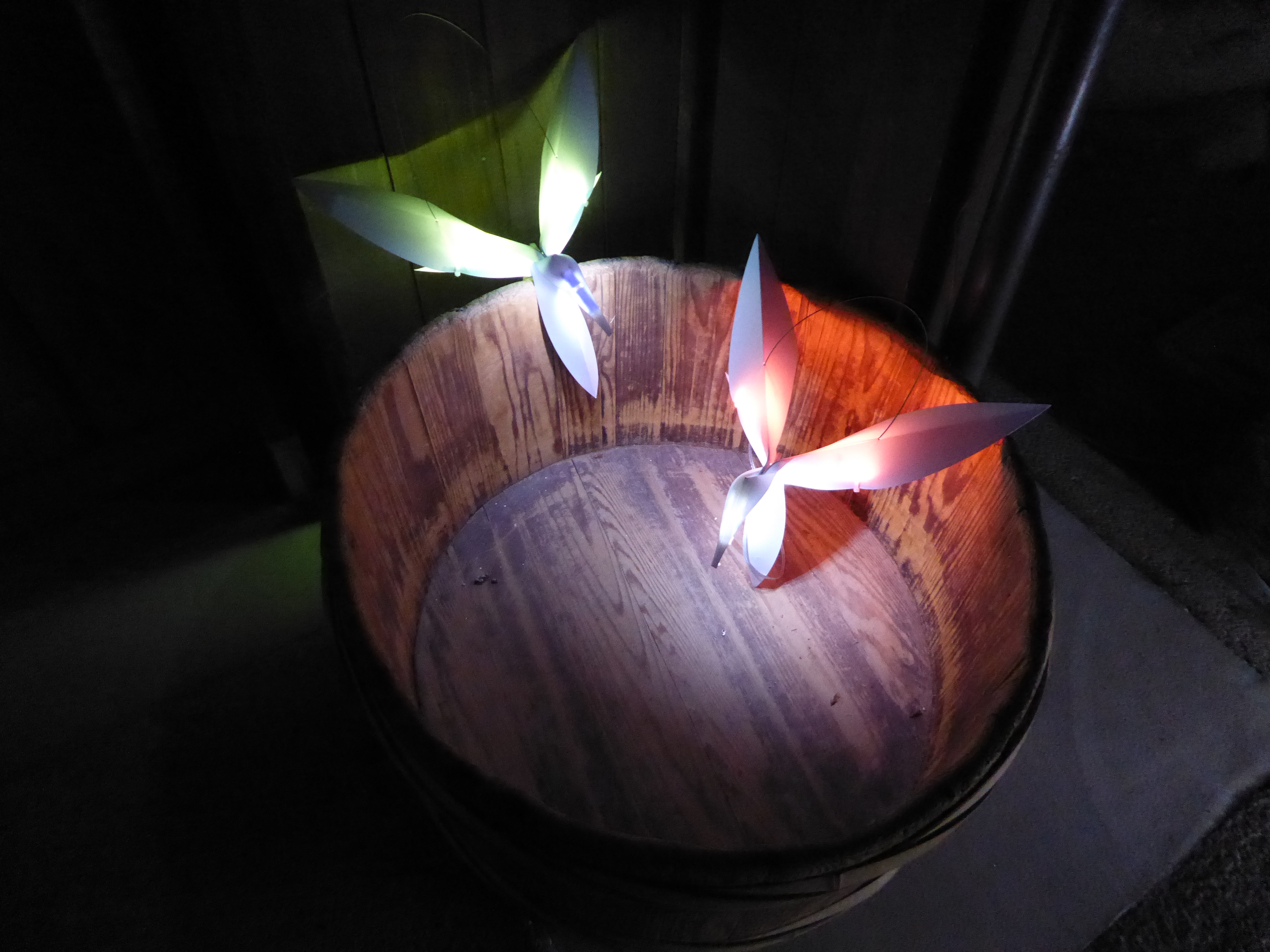 P1000720.JPG