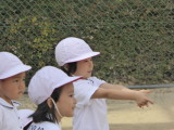 img0049.jpg