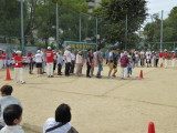 img0066.jpg