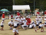 img0081.jpg