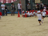 img0091.jpg