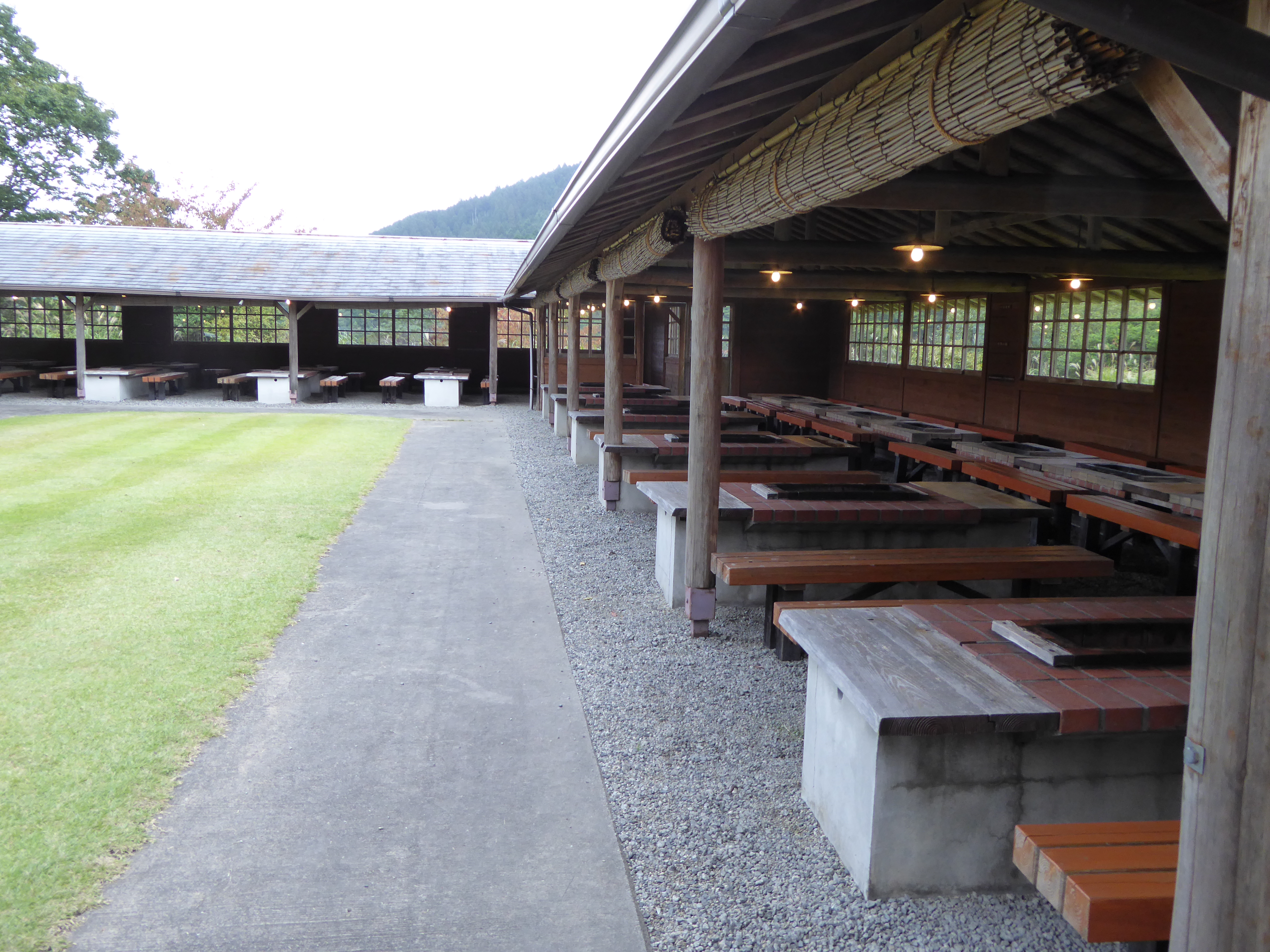 P1000858.JPG