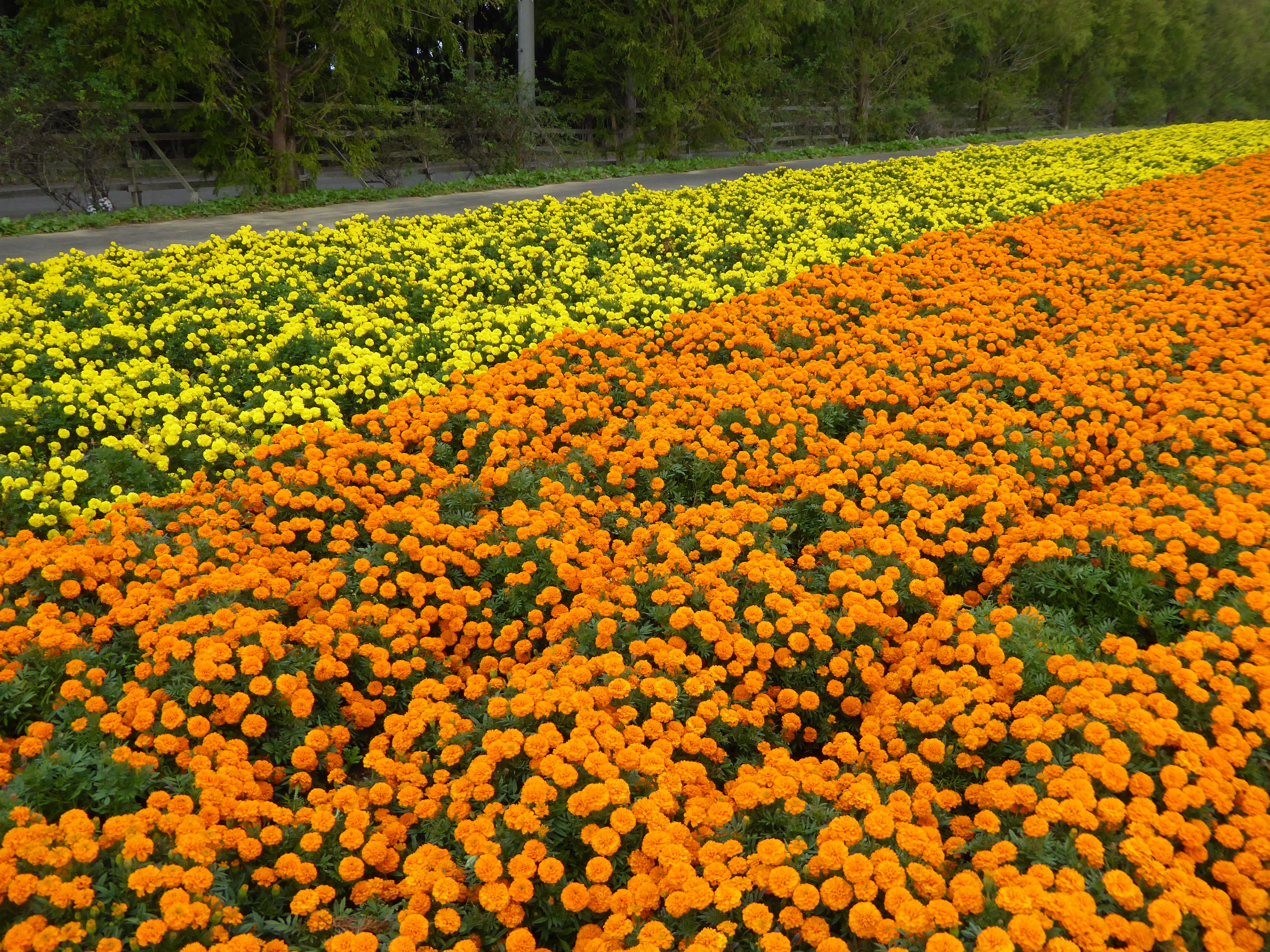 P1000862.JPG