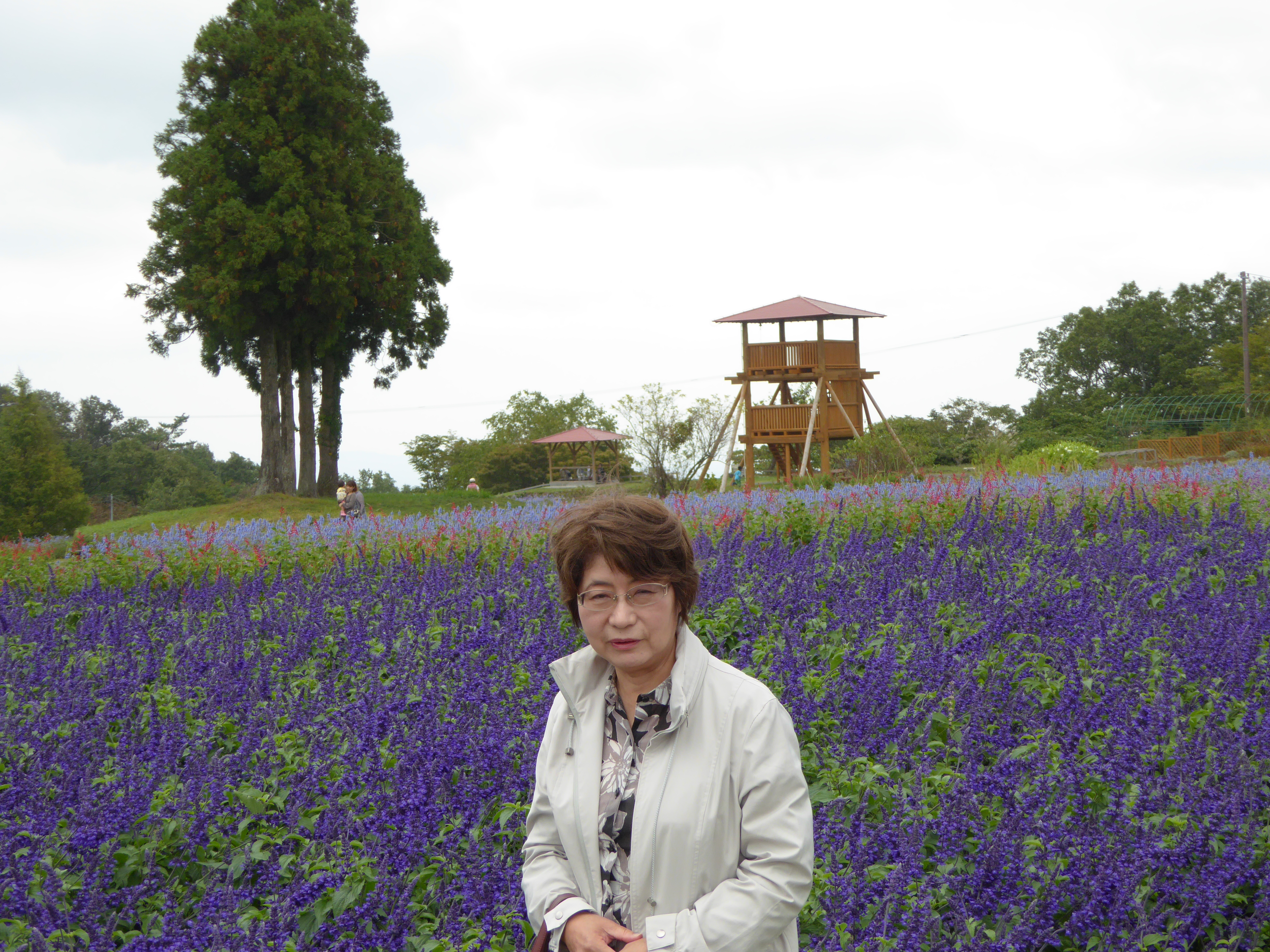 P1000880.JPG