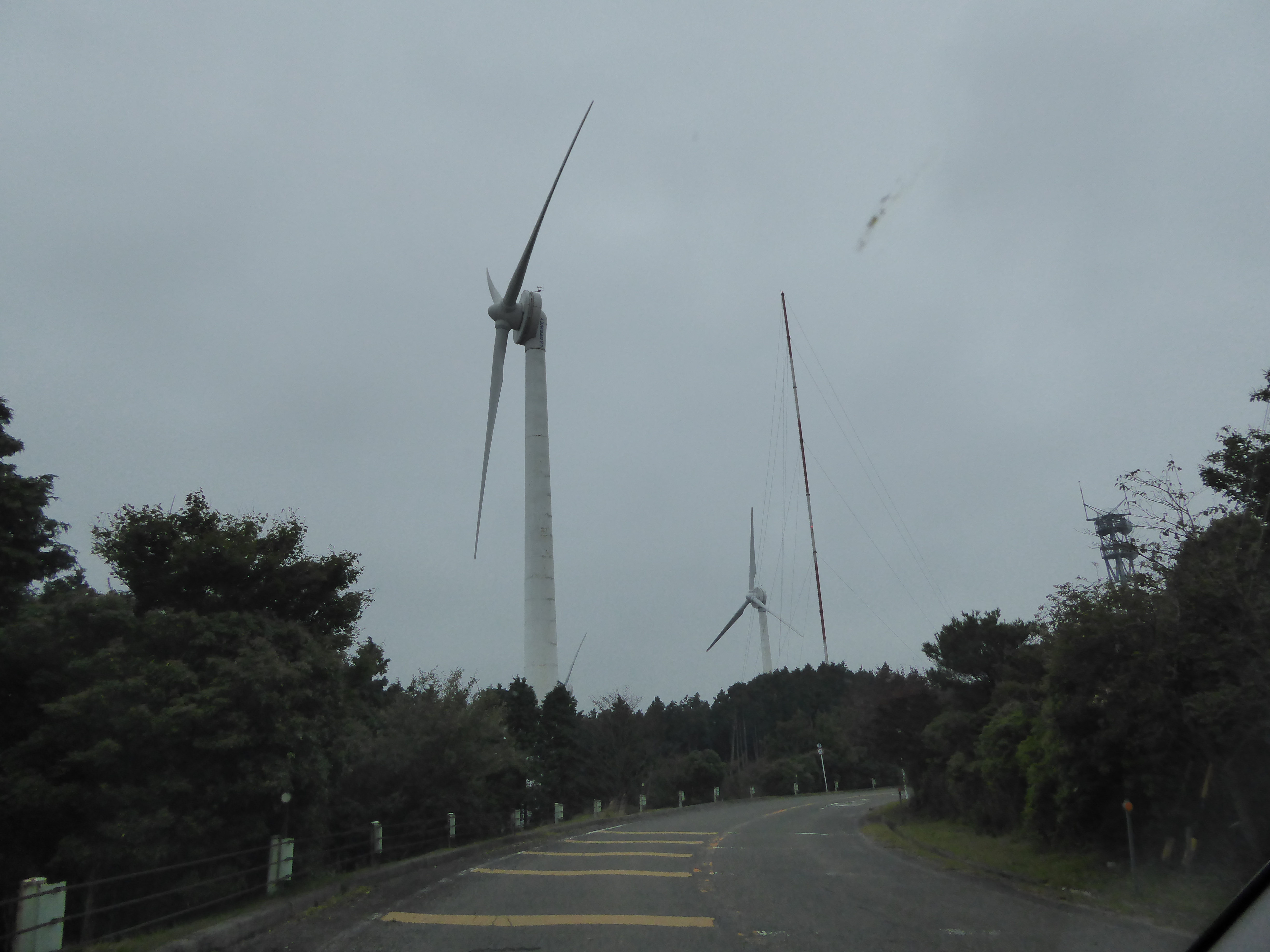 P1000886.JPG