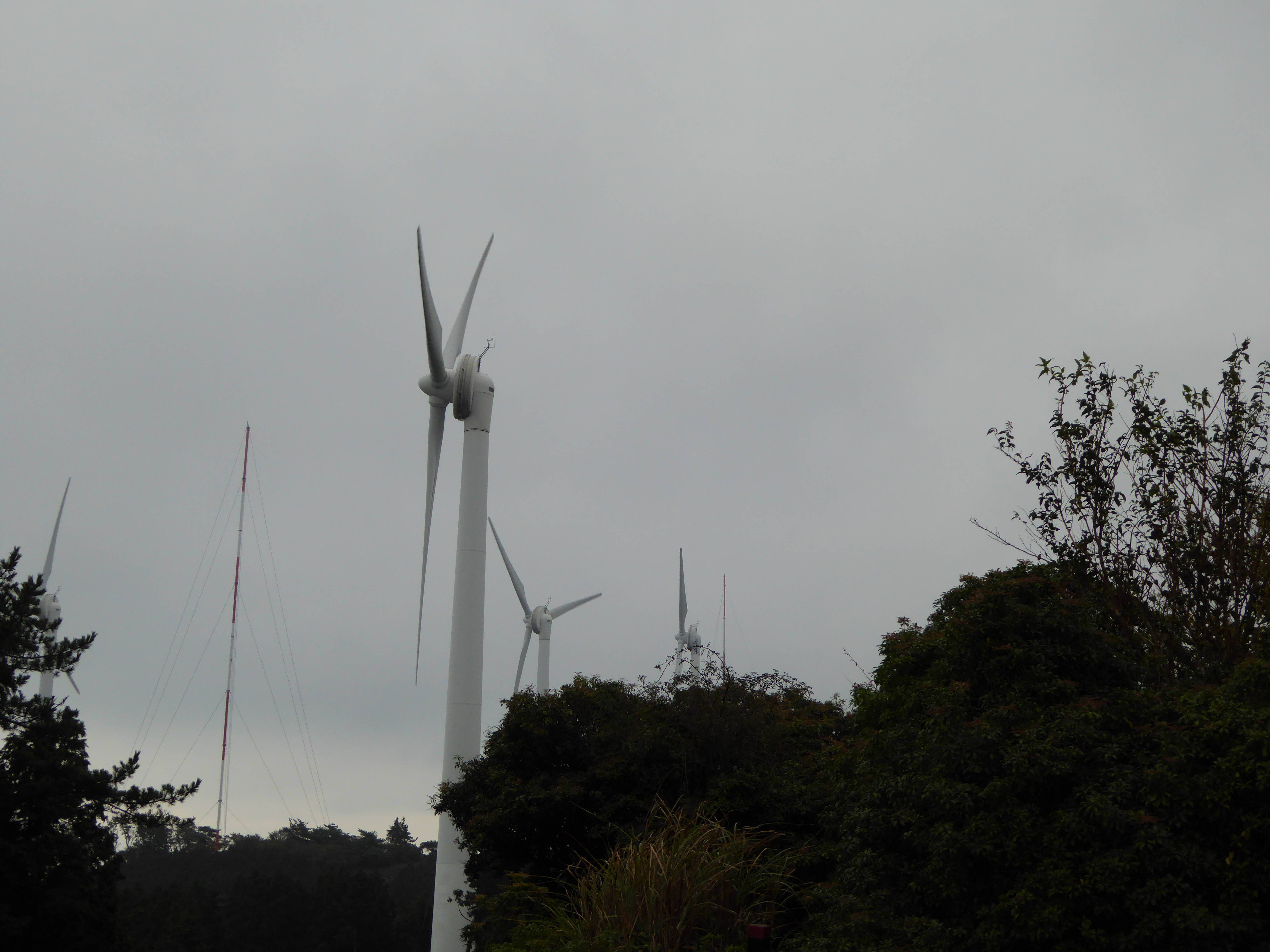 P1000887.JPG