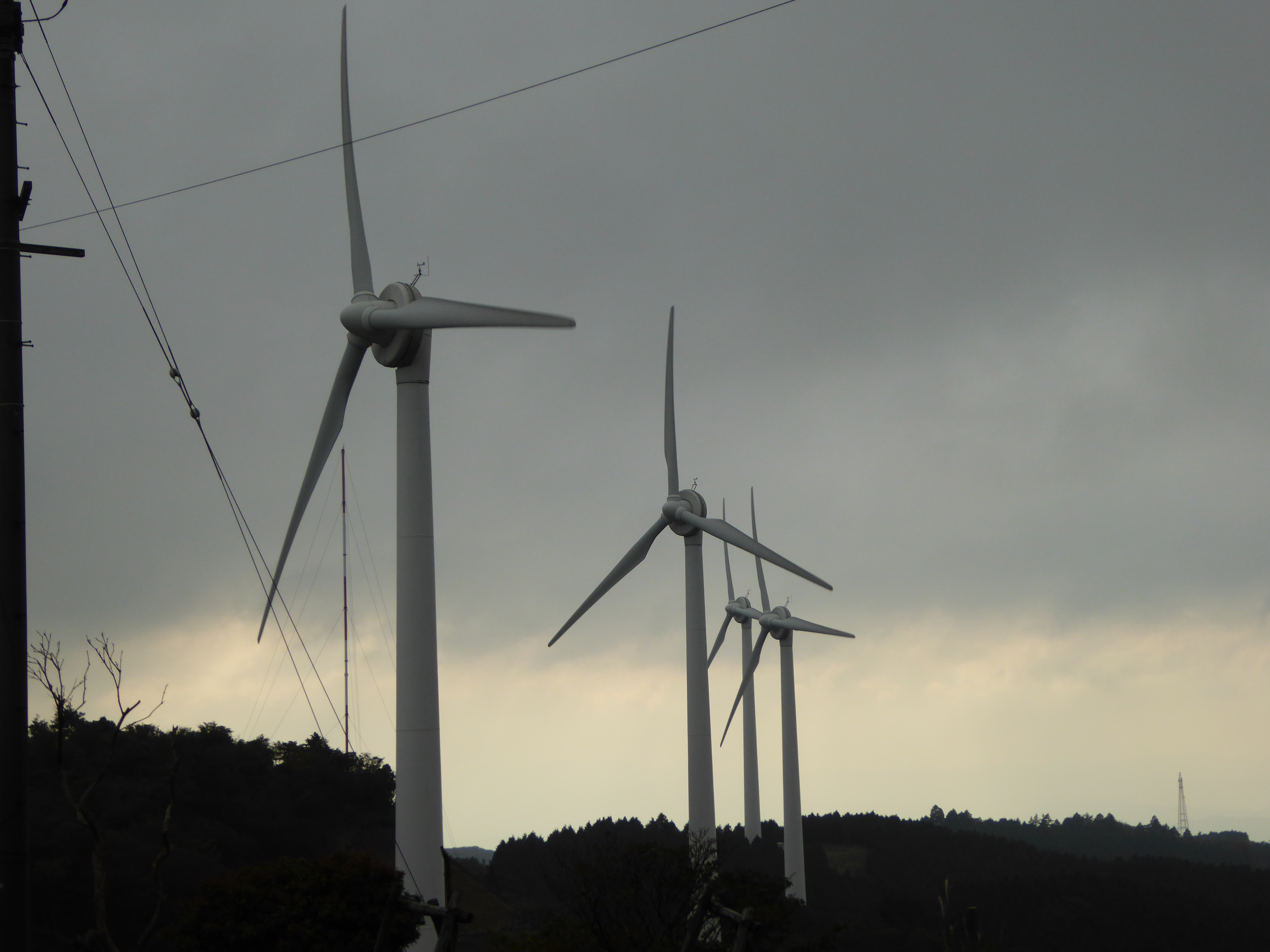 P1000900.JPG