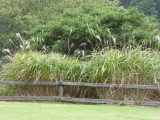img0000.jpg