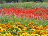img0003.jpg