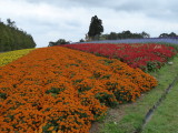 img0004.jpg