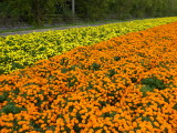 img0005.jpg