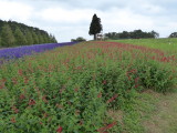 img0010.jpg