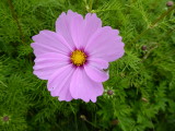 img0012.jpg