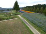 img0016.jpg