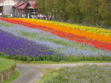 img0017.jpg