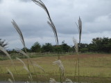 img0022.jpg