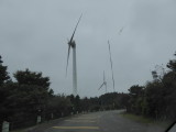 img0026.jpg