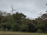 img0028.jpg