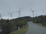 img0029.jpg
