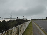 img0030.jpg