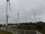 img0034.jpg