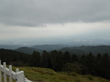 img0036.jpg