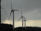 img0038.jpg