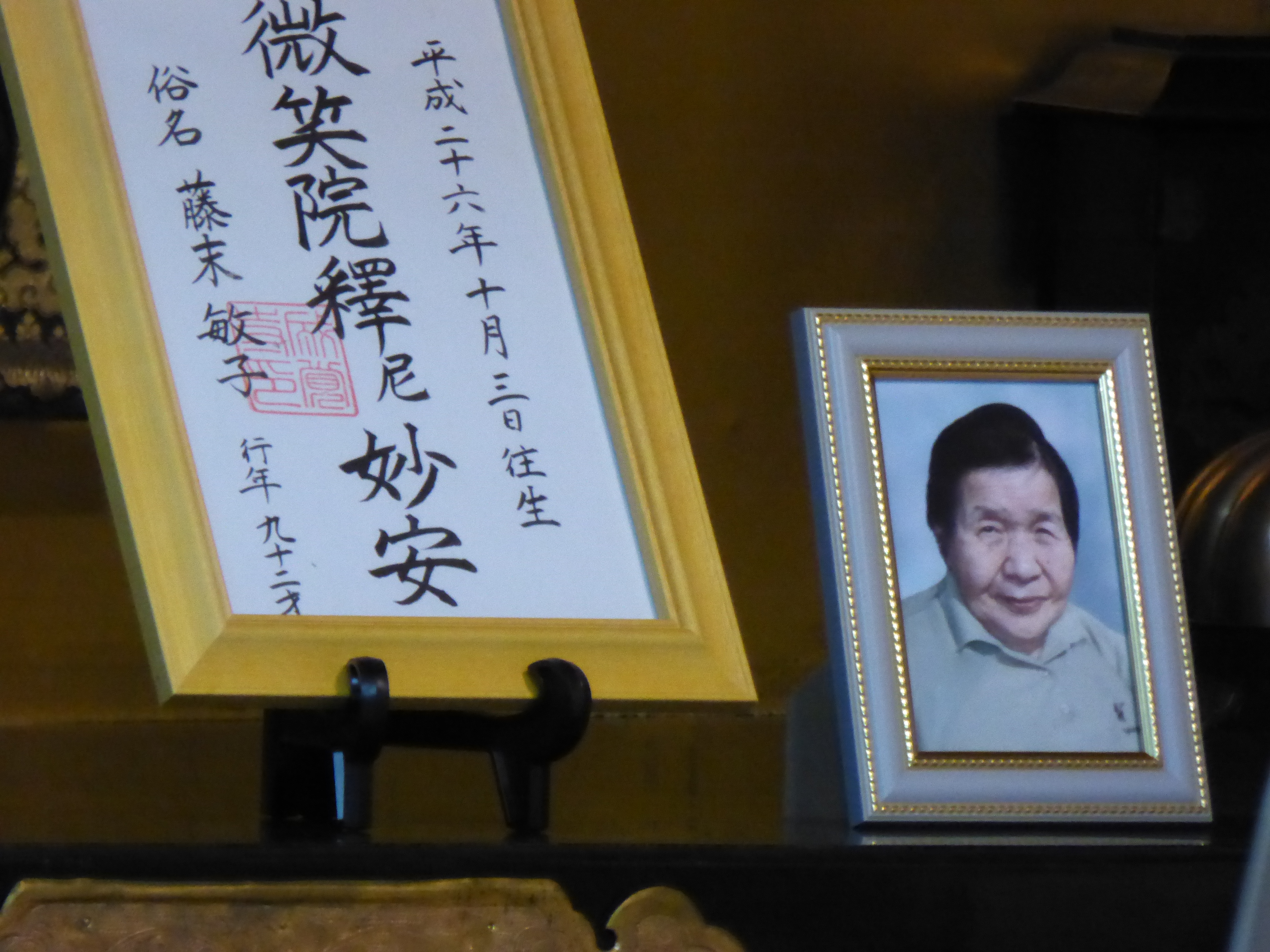 P1010033.JPG