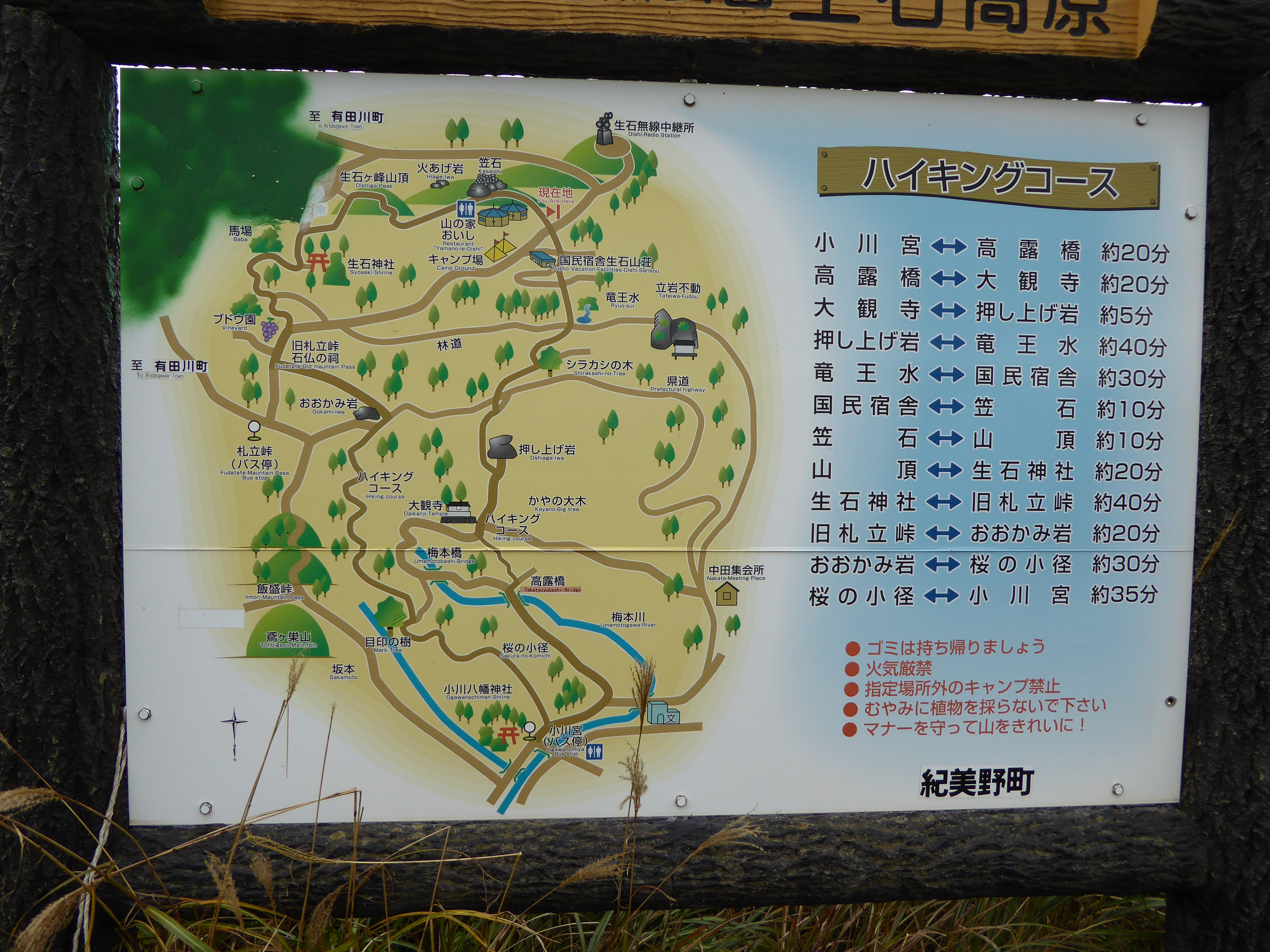P1010062.JPG