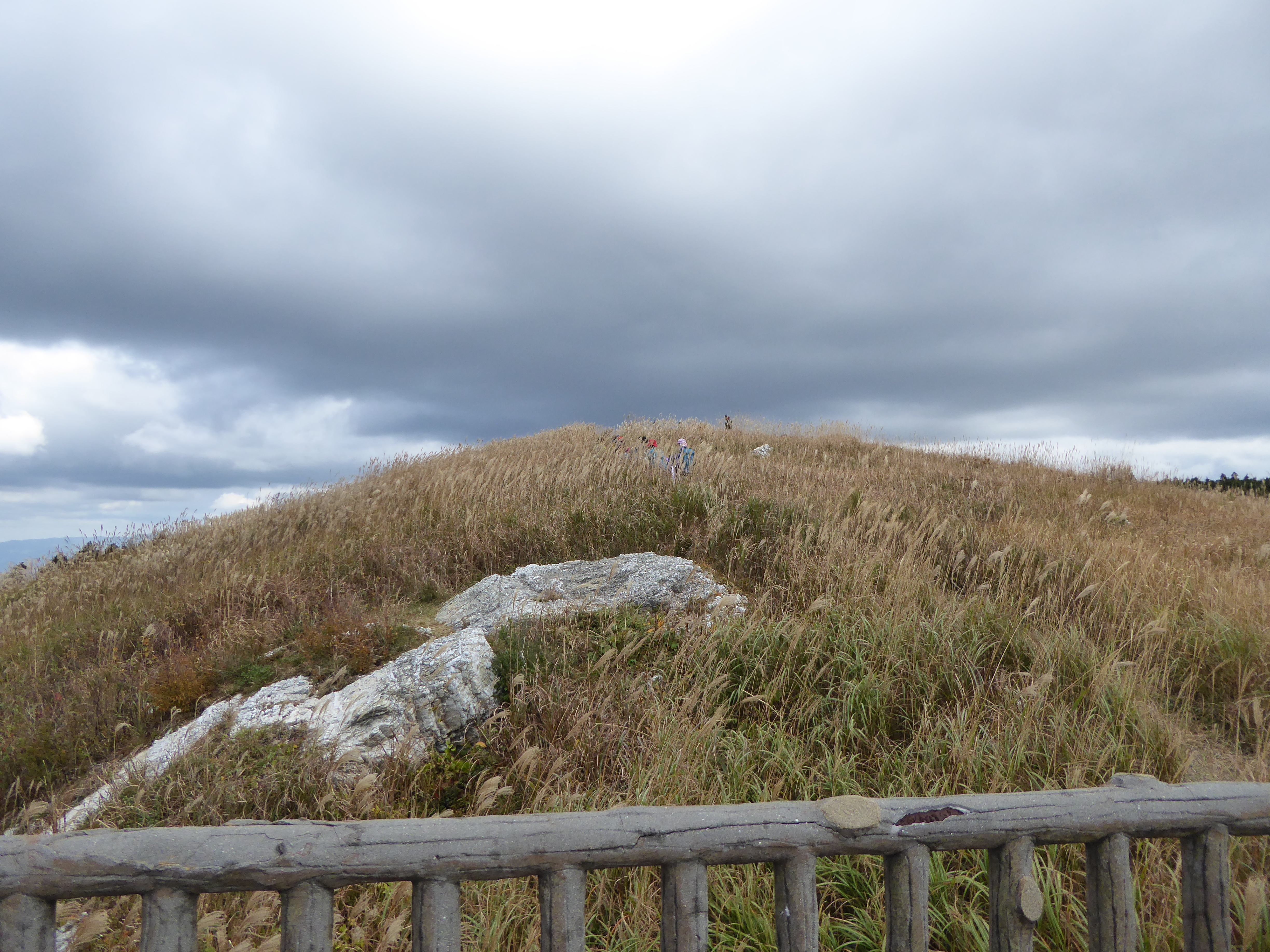 P1010067.JPG