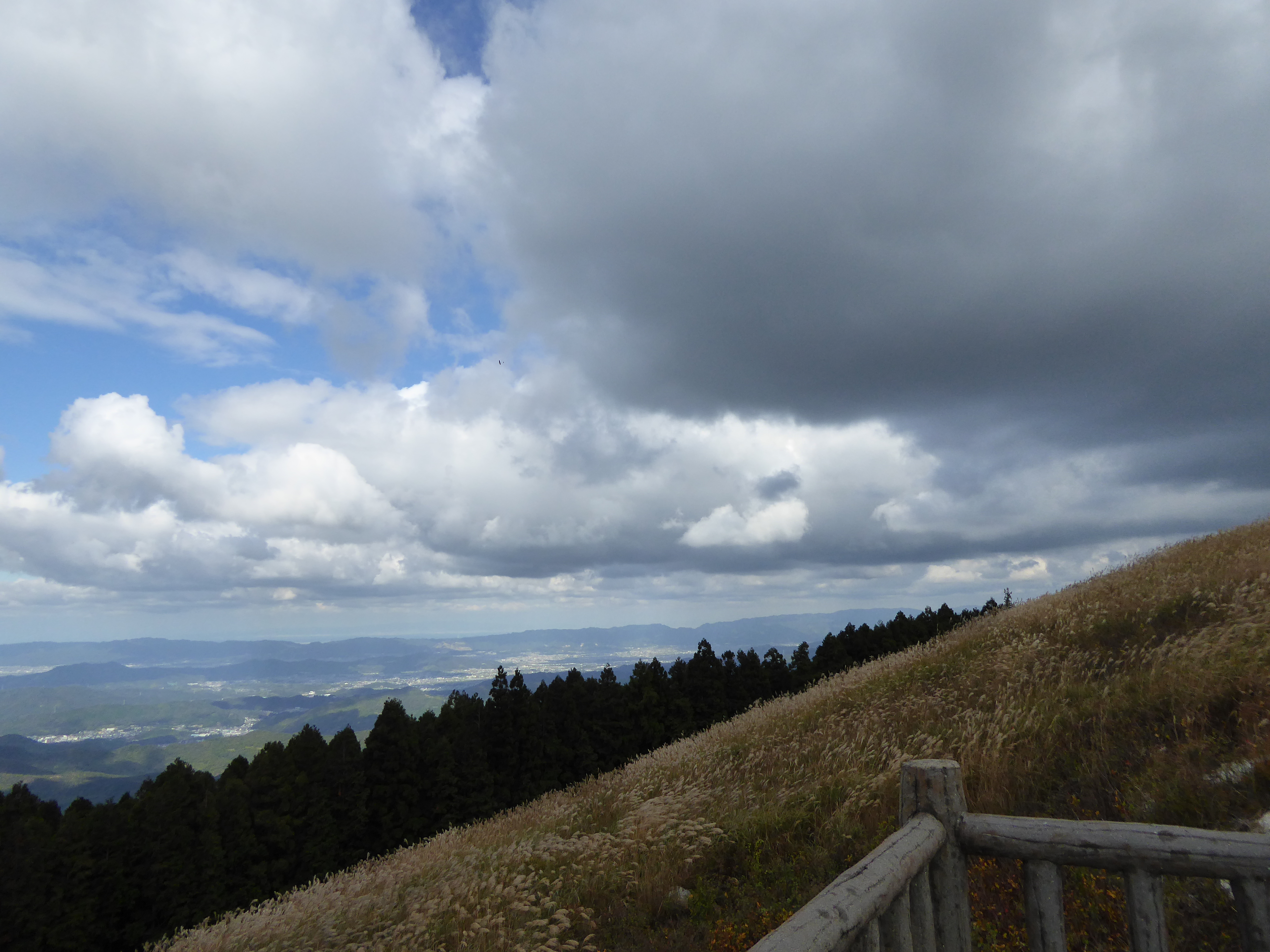 P1010069.JPG