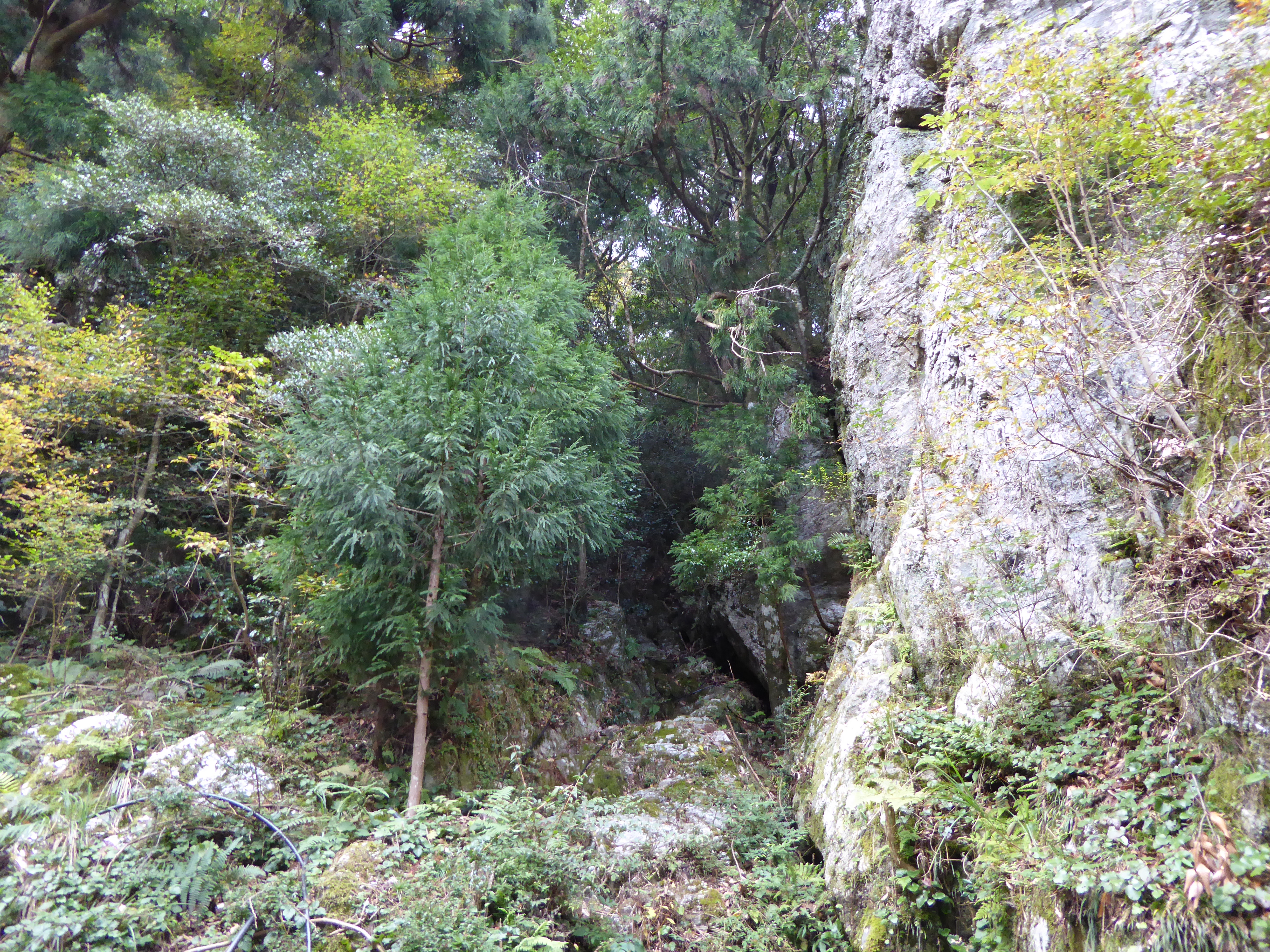 P1010089.JPG