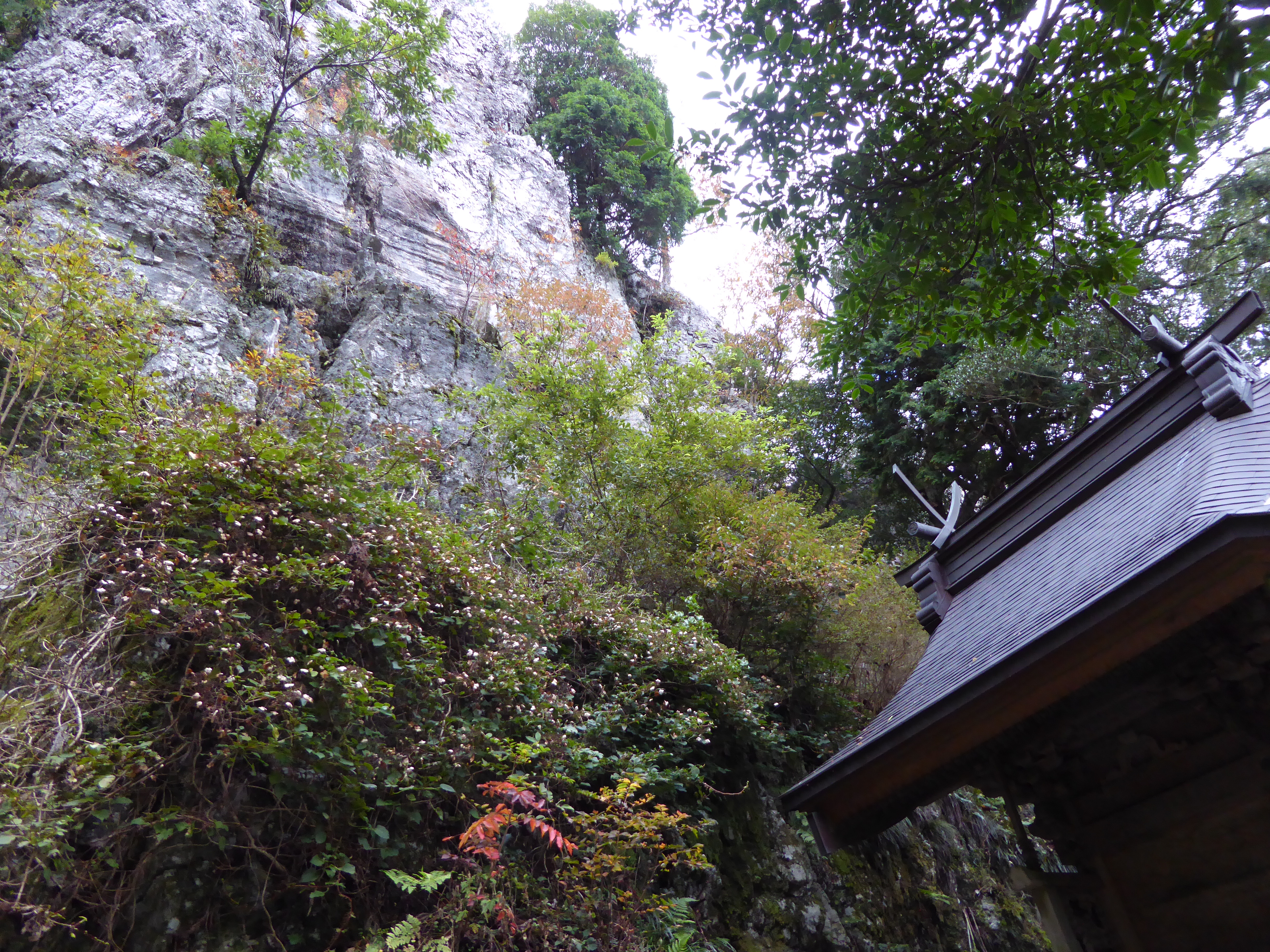 P1010090.JPG