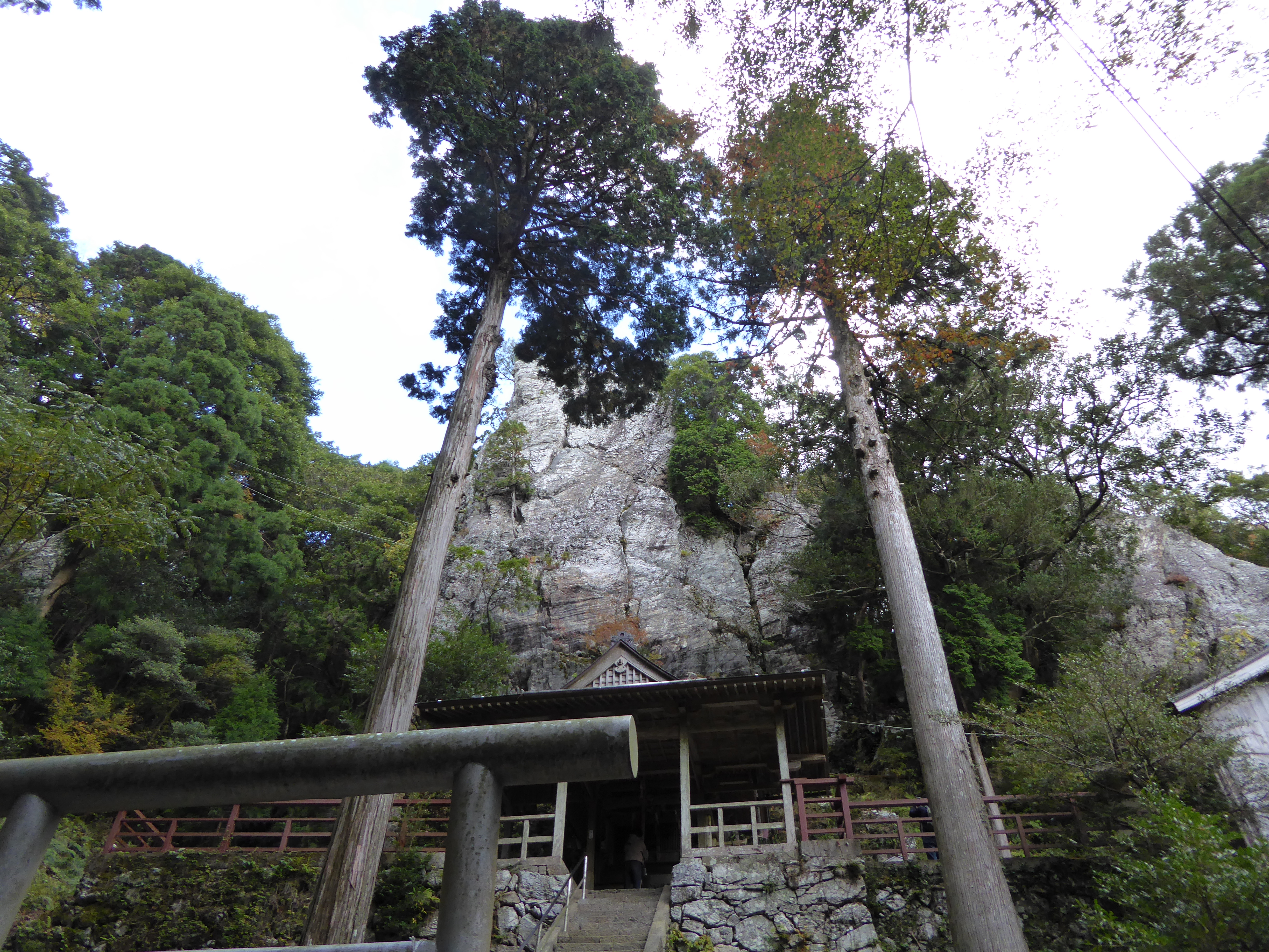 P1010092.JPG