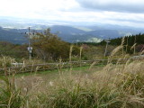 img0001.jpg