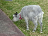 img0002.jpg