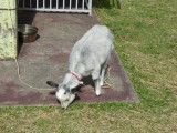img0003.jpg