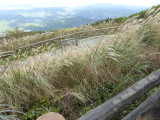 img0006.jpg
