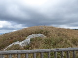 img0010.jpg