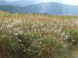img0013.jpg